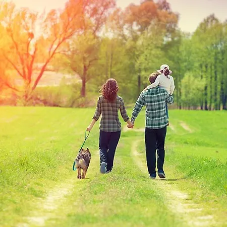 Baumanns Hof מלון