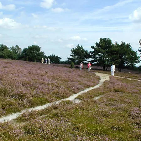 מלון Baumanns Hof 3*