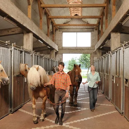 מלון Baumanns Hof Kirchdorf (Lower Saxony)