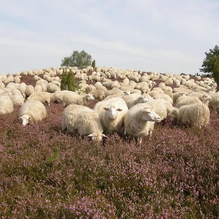 Baumanns Hof מלון 3*